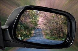 Der rechte Außenspiegel eines fahrenden BMW mit dem Wald im Spiegelbild